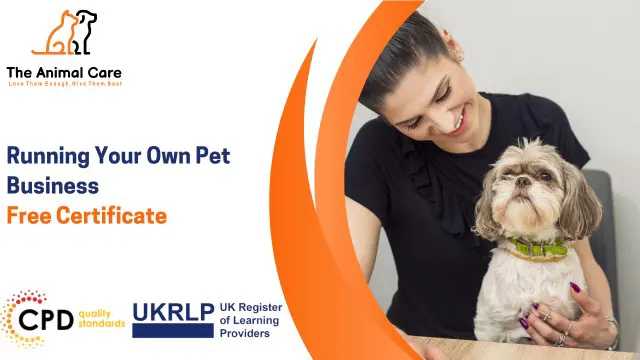 Running Your Own Pet Business