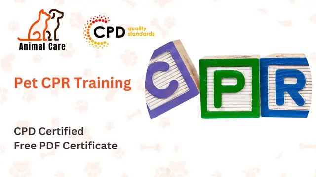 Pet CPR Training Online