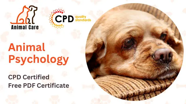 Animal Psychology Diploma - Level 3