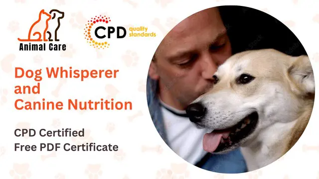 Dog Whisperer and Canine Nutrition - Level 3
