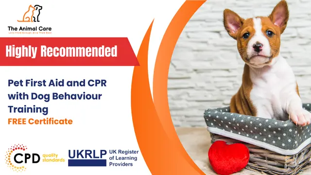 Pet First Aid and CPR with Dog Behaviour Training- Level 3 CPD Certified