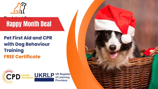 Pet First Aid and CPR with Dog Behaviour Training- Level 3 CPD Certified