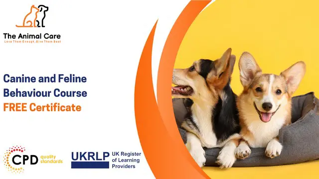 Canine and Feline Behaviour Course