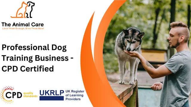 Professional Dog Training Business - CPD Certified
