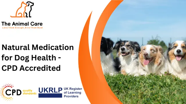 Natural Medication for Dog Health - CPD Accredited 