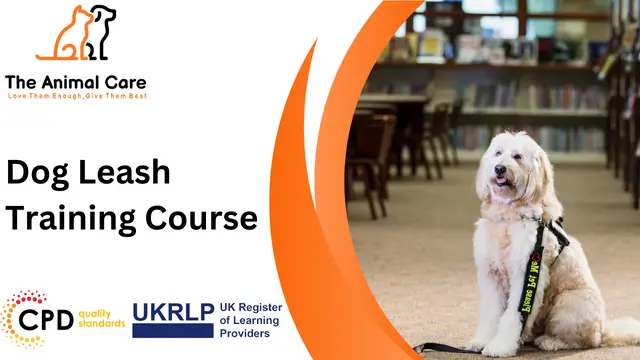 Dog Leash Training Course