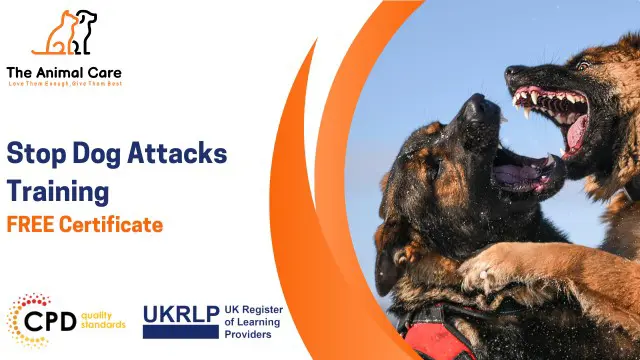Stop Dog Attacks Training: The Darker Side of Animal Behaviour