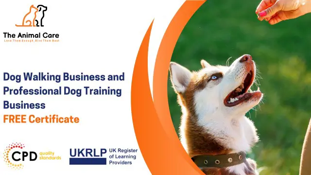 Dog Walking Business and Professional Dog Training Business CPD Certified