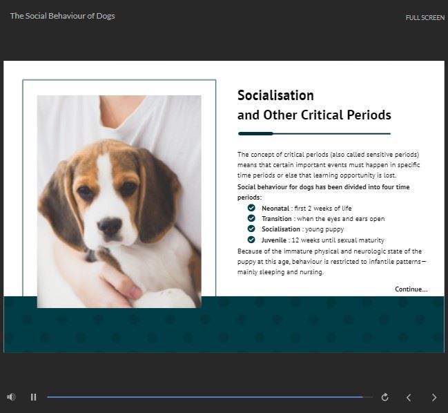 Online Canine Behaviour and Psychology 4 Courses Bundle