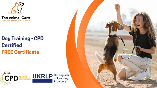 Dog Training - CPD Certified