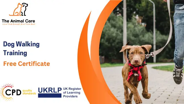 Dog Walking - Grooming, Walking & Care Training Bundle