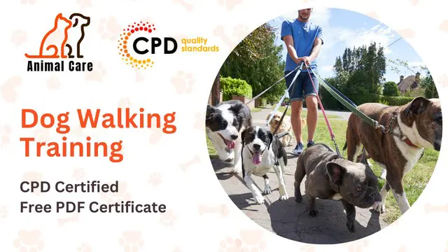 Dog Walking - Training Courses