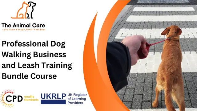 Professional Dog Walking Business and Leash Training Course