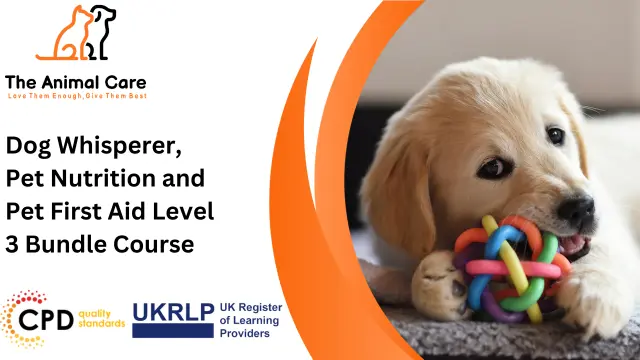 Dog Whisperer, Pet Nutrition and Pet First Aid Level 3 Bundle Course