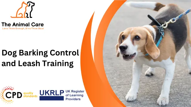 Dog Barking Control and Leash Training