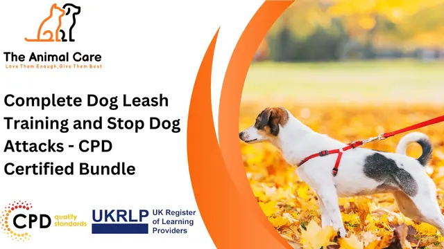 Complete Dog Leash Training and Stop Dog Attacks - CPD Certified Bundle