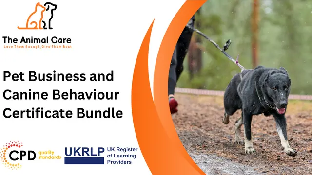 Pet Business and Canine Behaviour Certificate Bundle