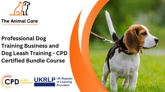 Professional Dog Training Business and Dog Leash Training - CPD Certified Bundle Course