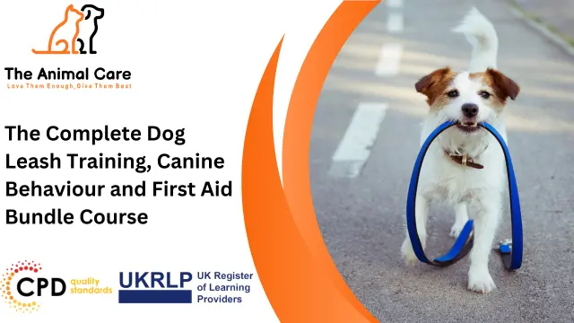 The Complete Dog Leash Training, Canine Behaviour and First Aid Bundle Course