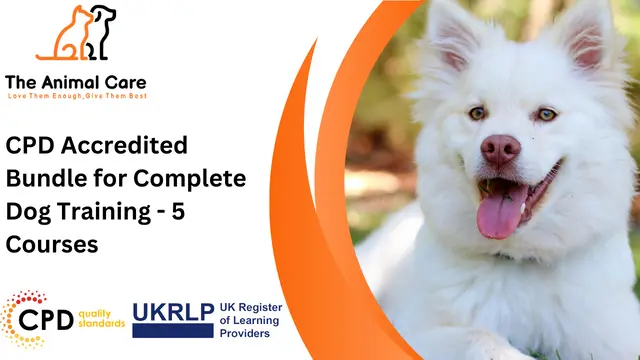 Complete Dog Training CPD Accredited Bundle- 5 Courses