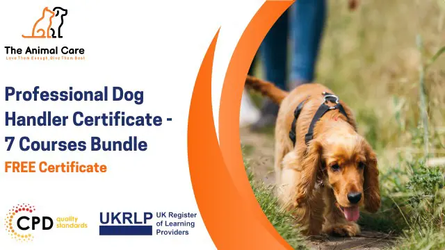 Professional Dog Handler Certificate - 7 Courses Bundle