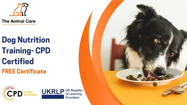 Dog Nutrition Training - CPD Certified