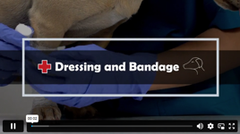 Course Content Sample