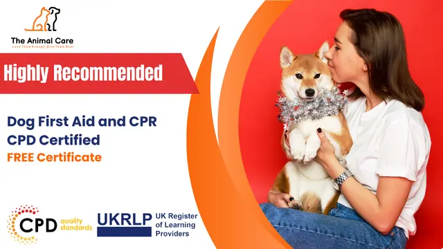 Dog First Aid and CPR with Dog Training - CPD Certified