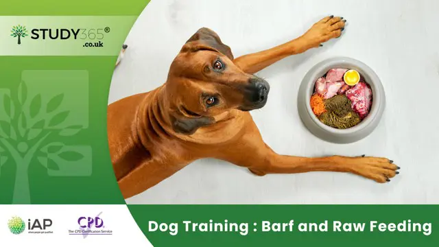 Dog Training : Barf and Raw Feeding 