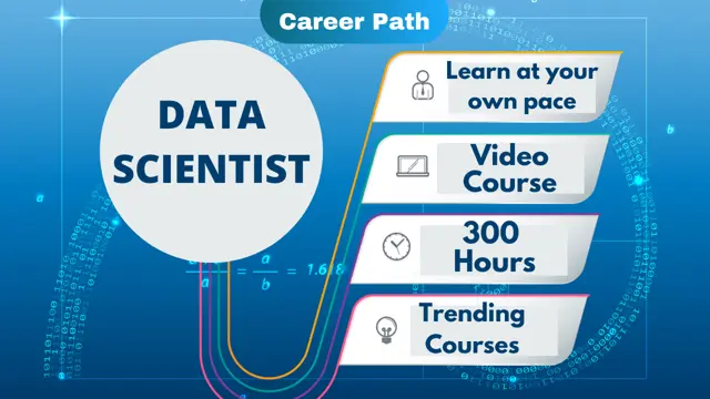 Data Scientist Career Path