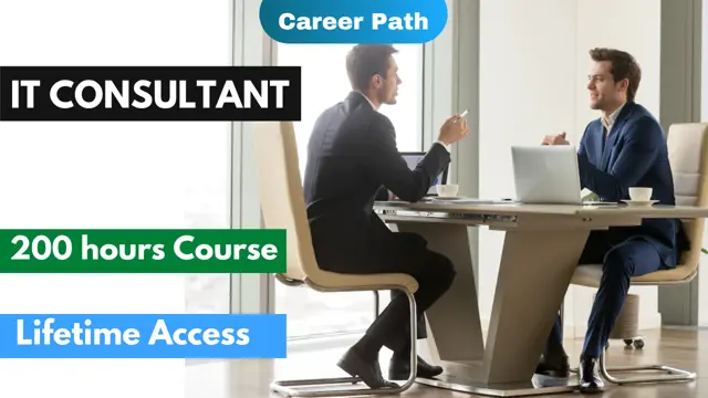 IT Consultant Career Path