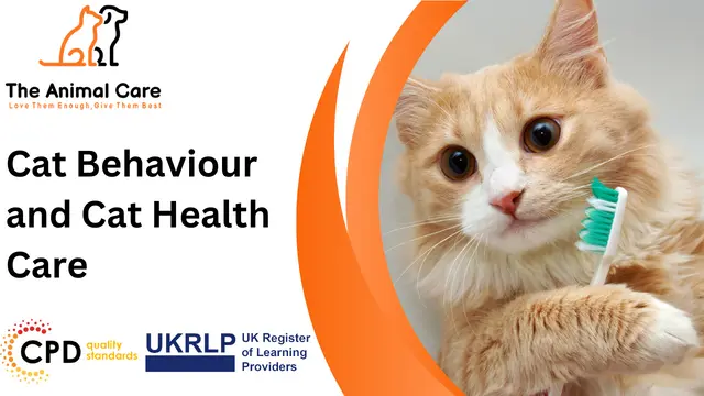 Cat Behaviour and Cat Health Care
