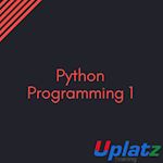 Python Programming online tutor-led training course