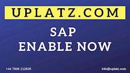 SAP Enable Now online tutor-led training course