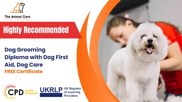 Dog Grooming Diploma with Dog First Aid, Dog Care & Behaviour Training- CPD Certified