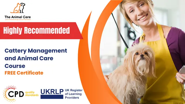 Level 4 Cattery Management and Animal Care Course