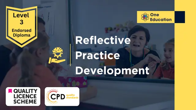 Reflective Practice Development