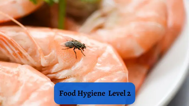 Food Hygiene - Level 2 