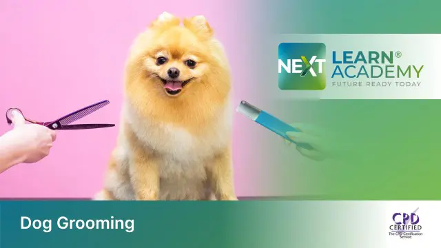 Dog Grooming Training 