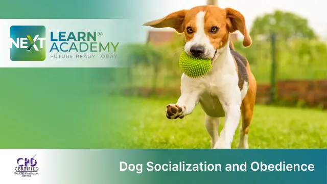 Dog Socialization and Obedience