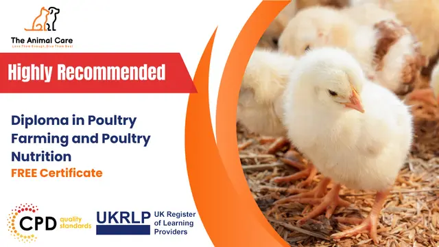 Diploma in Poultry Farming and Poultry Nutrition