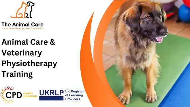Animal Care & Veterinary Physiotherapy Training