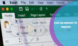 Excel spreadsheet for Beginner