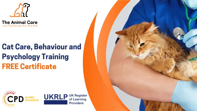 Cat Care, Behaviour and Psychology Training