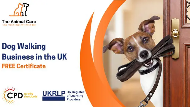 Dog Walking Business in the UK