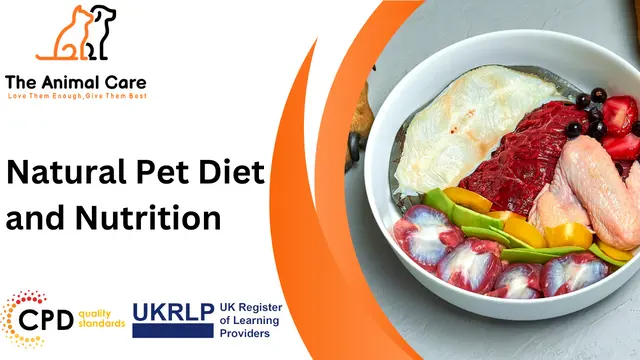 Natural Pet Diet and Nutrition