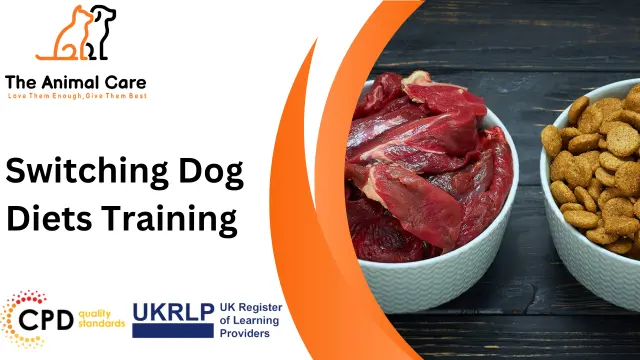 Switching Dog Diets Training 