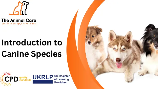  Introduction to Canine Species