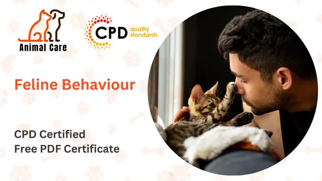 Feline Behaviour Course