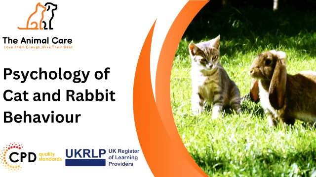 Psychology of Cat and Rabbit Behaviour